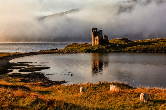 Misty Ardvreck Castle Highland Scotland